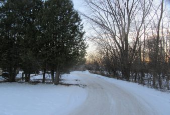 Woodview Manor- quiet, wooded, end of road complex